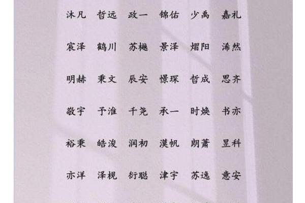 2019年4月20号丑时出生的男孩起名时要注意什么姓名