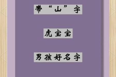 下午出生的属虎男孩应该起什么名，宜用什么字姓名