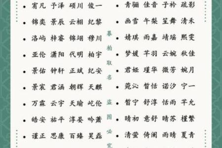 2019年6月29号丑时出生的男孩要怎么起名字姓名